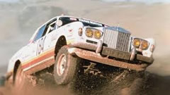 madness in the desert