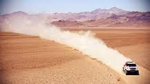 madness in the desert